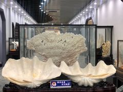 -游龙石文化科普馆