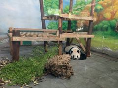 -无锡动物园·太湖欢乐园