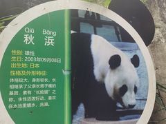 -深圳野生动物园