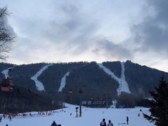 -亚布力新体委滑雪场
