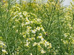 -中国天府农业博览园