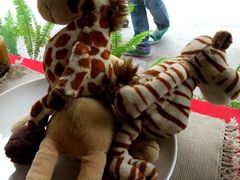 -Babycat私家御饼屋(龙头路一店)