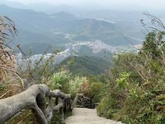 -梧桐山风景名胜区
