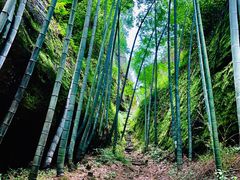 -崀山风景名胜区