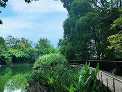 -花溪公园