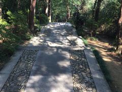 -峙山公园