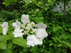 -木塔寺遗址生态公园