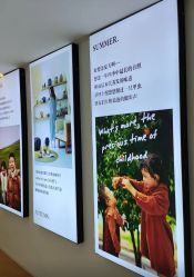 -雅尼·亚米儿童摄影美学馆(汉阳店)