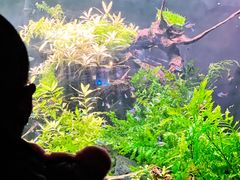 -上海海洋水族馆