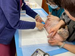 -美联众合动物医院·24h转诊中心