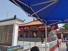 -神州牡丹园