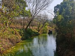 -西溪国家湿地公园