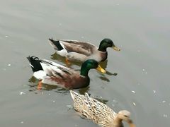 -骏途旅游