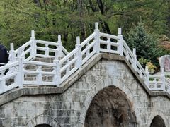 -朱雀国家森林公园