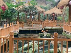 -南宫五洲植物乐园