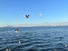 -大连海昌东方水城