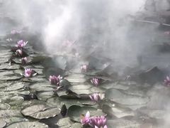 -河北省园博园