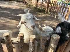 -水上乐园·欢乐世界