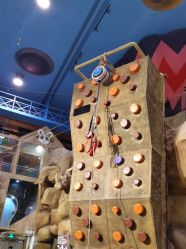 -卡通尼·Safari非洲探索乐园·生日会(金桥国际商业广场店)