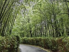 -天目湖涵田度假村