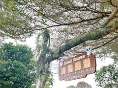 -光明农场大观园