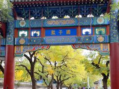 -北京国子监胡同