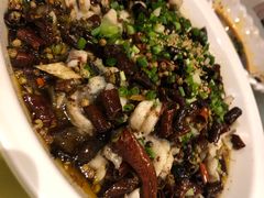 -三猫黑鱼花(南大店)