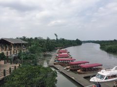 -东寨港红树林旅游区