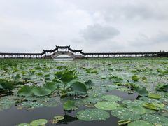 -观桥阁(锦溪店)