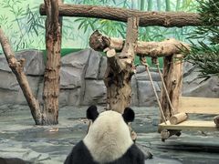 -秦皇岛野生动物园