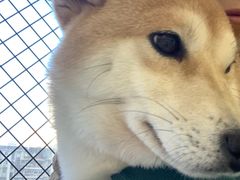 -怪兽屋·羊驼·猫咖·狗咖(俊华广场店)