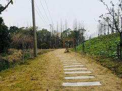-长兴岛郊野公园农场食堂