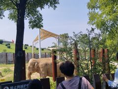 -太原动物园