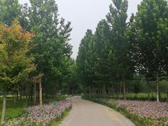 -东郊湿地公园