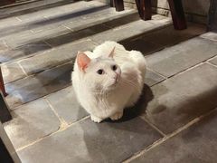 -张记牛肉面馆(天津路店)