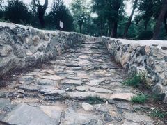 -北京鹫峰国家森林公园