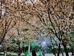 -海棠花溪(元大都城垣遗址公园)