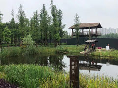-长田漾湿地公园