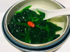 温室田园豆苗-广舟(千禧店)