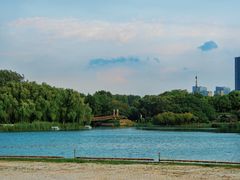 -滨湖塘西河公园