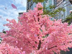 -东莞松山湖万象汇