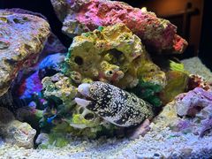 -上海海洋水族馆
