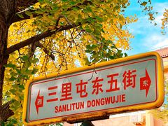 -三里屯东五街银杏大道