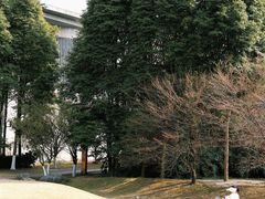 -国际非物质文化遗产博览园