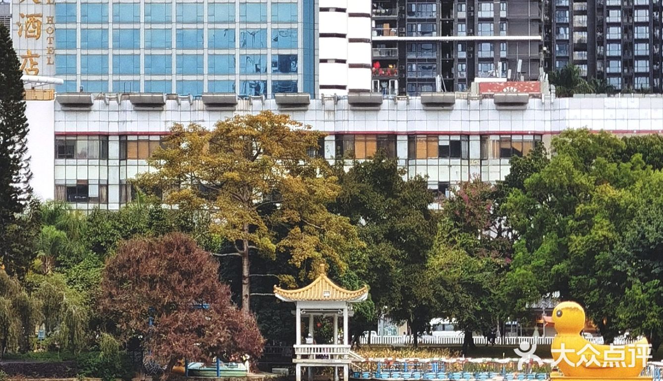 深圳游玩｜来荔枝公园打卡深圳超美水天辉映的建筑风光