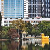 深圳游玩｜来荔枝公园打卡深圳超美水天辉映的建筑风光