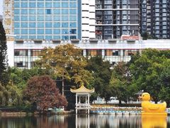 -荔枝公园(福田区)