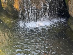 -上海浦东星河湾酒店