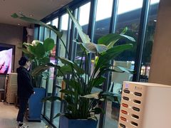 -杨氏青龙虾·羊蝎子(金盛路总店)