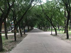 -首钢疗养院(滨海大道)